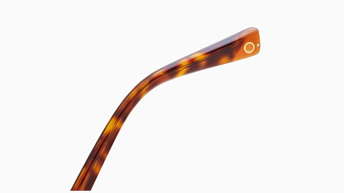 Etnia Barcelona NECORA - Specs Eyewear