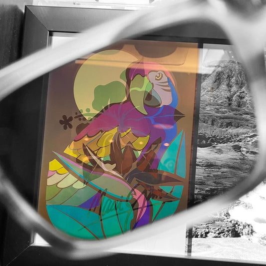 Maui Jim Replacement Lenses On Specsrx.com - Specs Eyewear