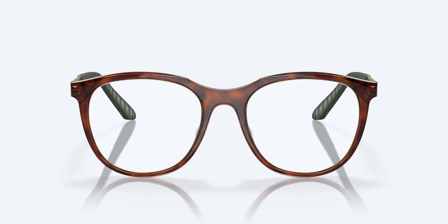 [Tortoise Frame]