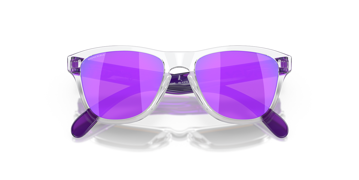 [Prizm Violet Lenses, Clear Frame]