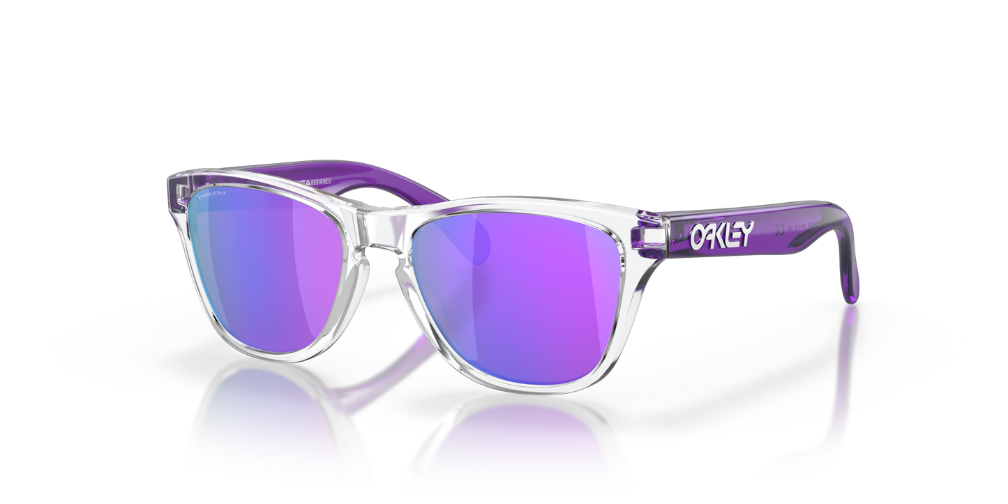 [Prizm Violet Lenses, Clear Frame]