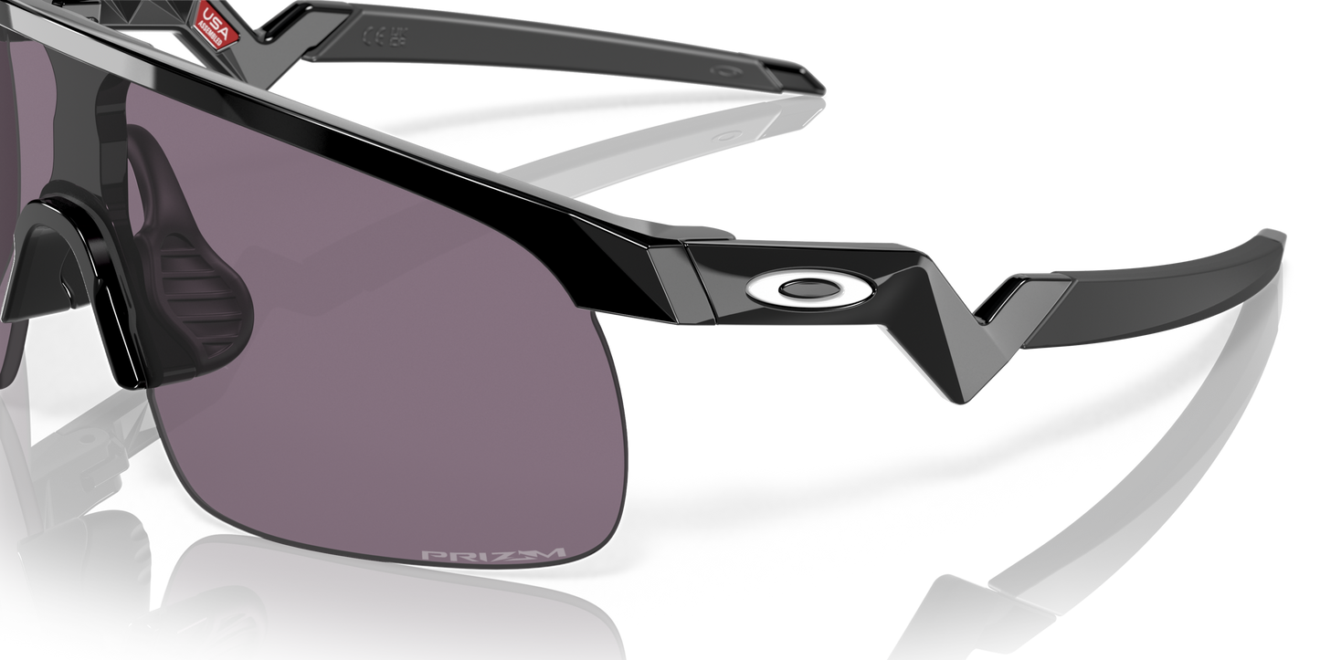 [Prizm Grey Lenses, Polished Black Frame]