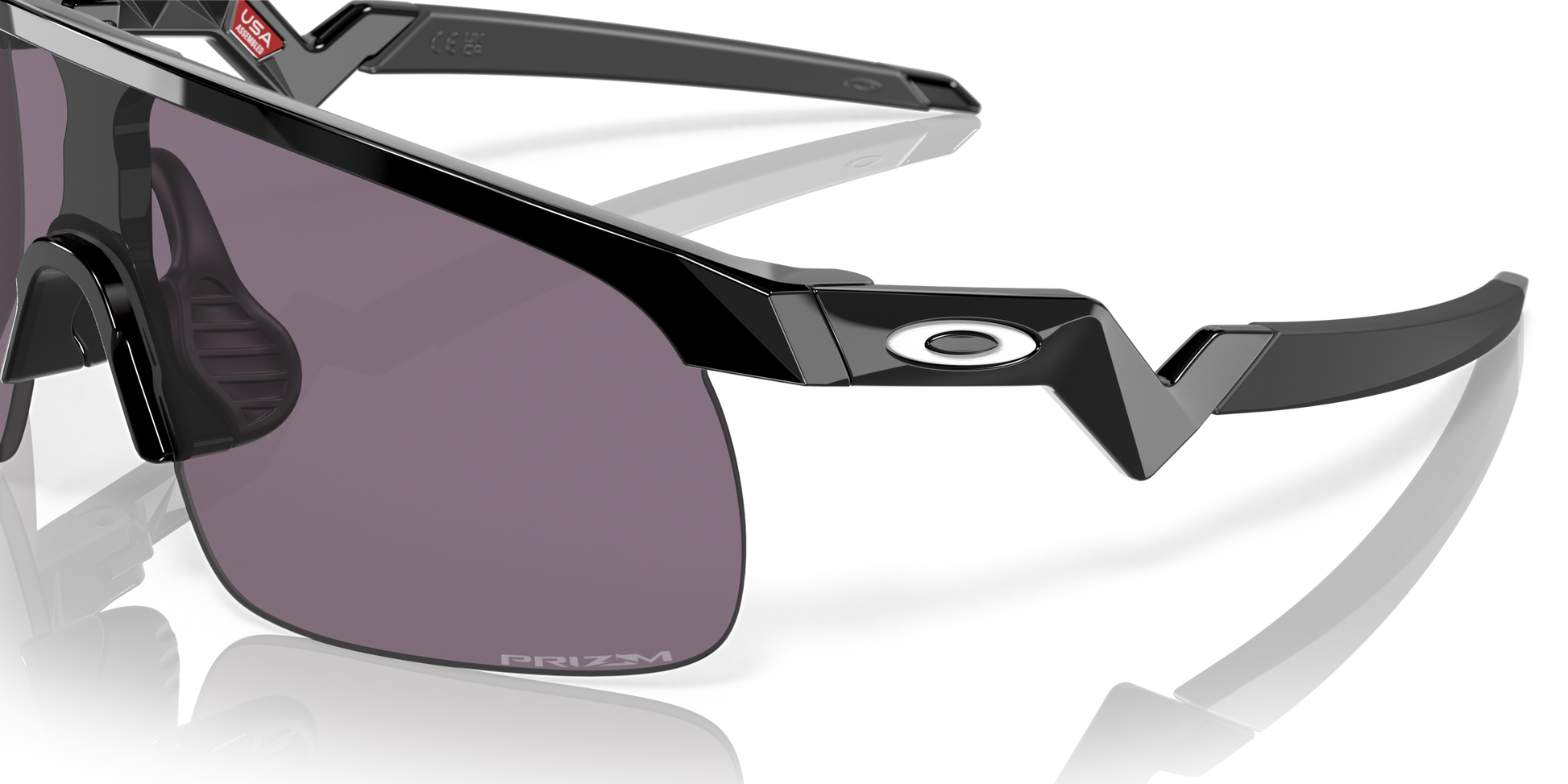 [Prizm Grey Lenses, Polished Black Frame]