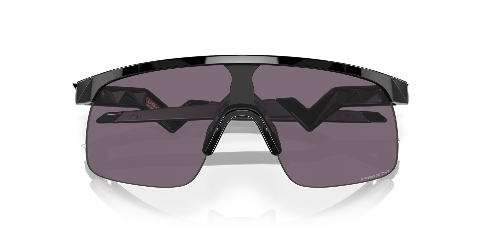 [Prizm Grey Lenses, Polished Black Frame]