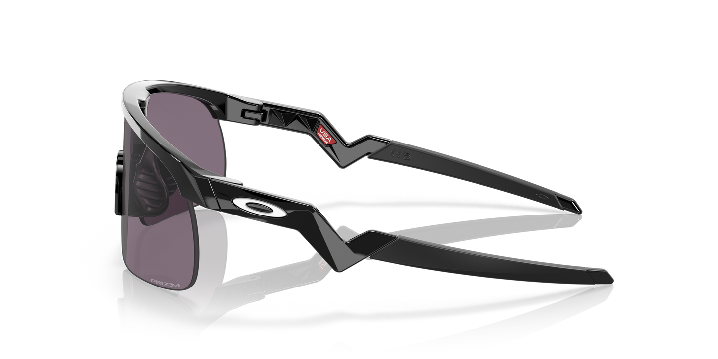 [Prizm Grey Lenses, Polished Black Frame]