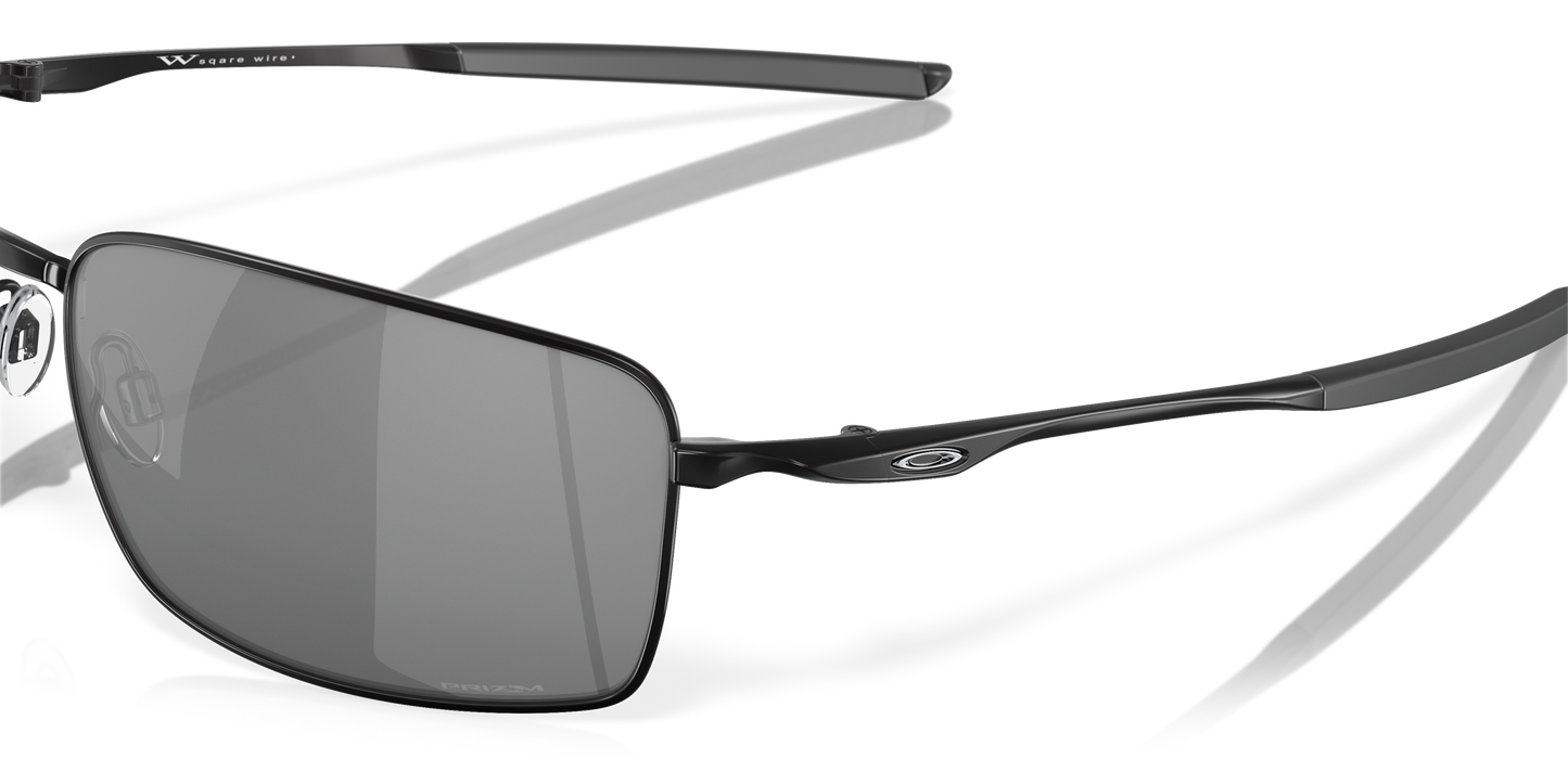 [Prizm Black Lenses, Polished Black Frame]