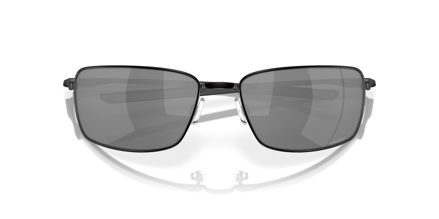 [Prizm Black Lenses, Polished Black Frame]
