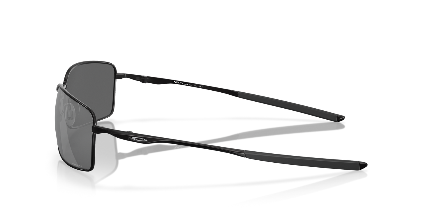 [Prizm Black Lenses, Polished Black Frame]