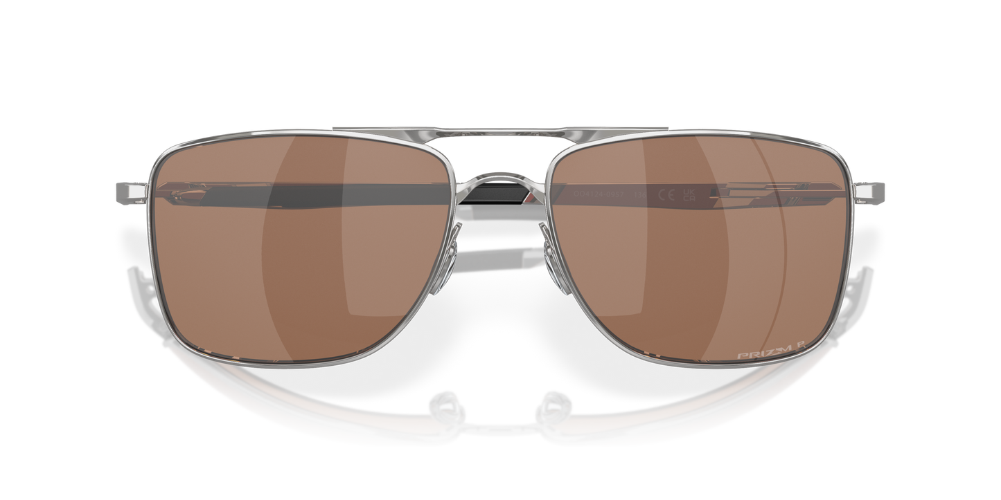 [Prizm Tungsten Polarized Lenses, Polished Chrome Frame]