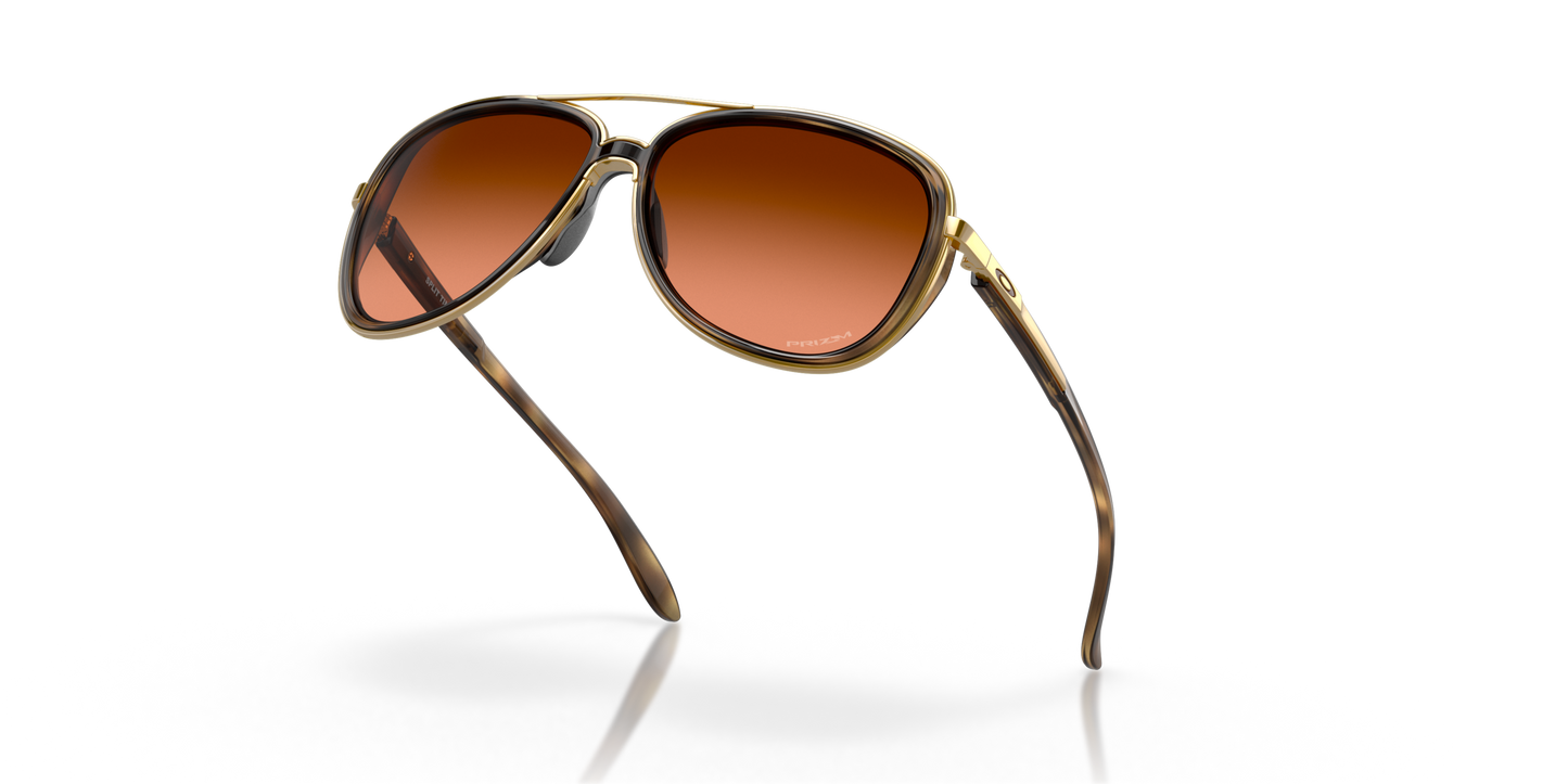 [Prizm Brown Gradient Lenses, Brown Tortoise Frame]