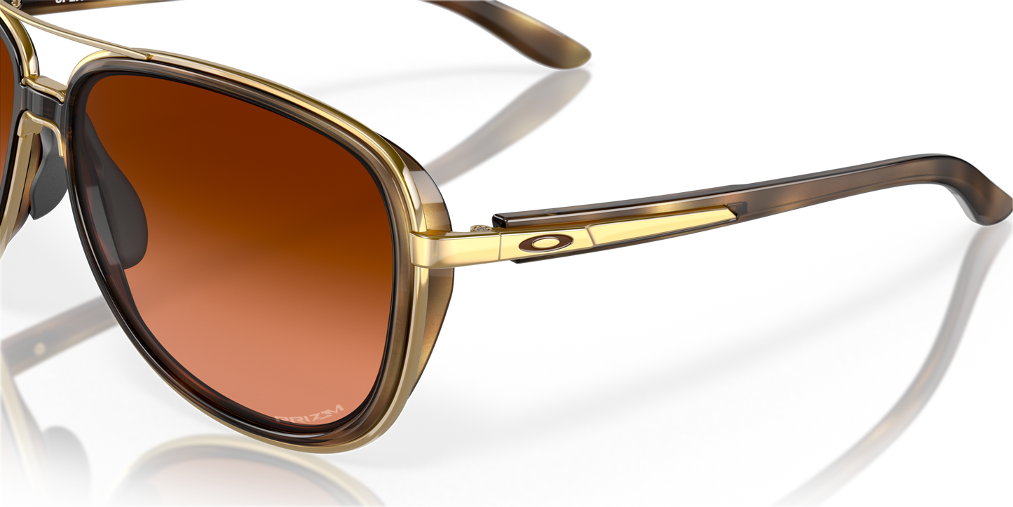 [Prizm Brown Gradient Lenses, Brown Tortoise Frame]