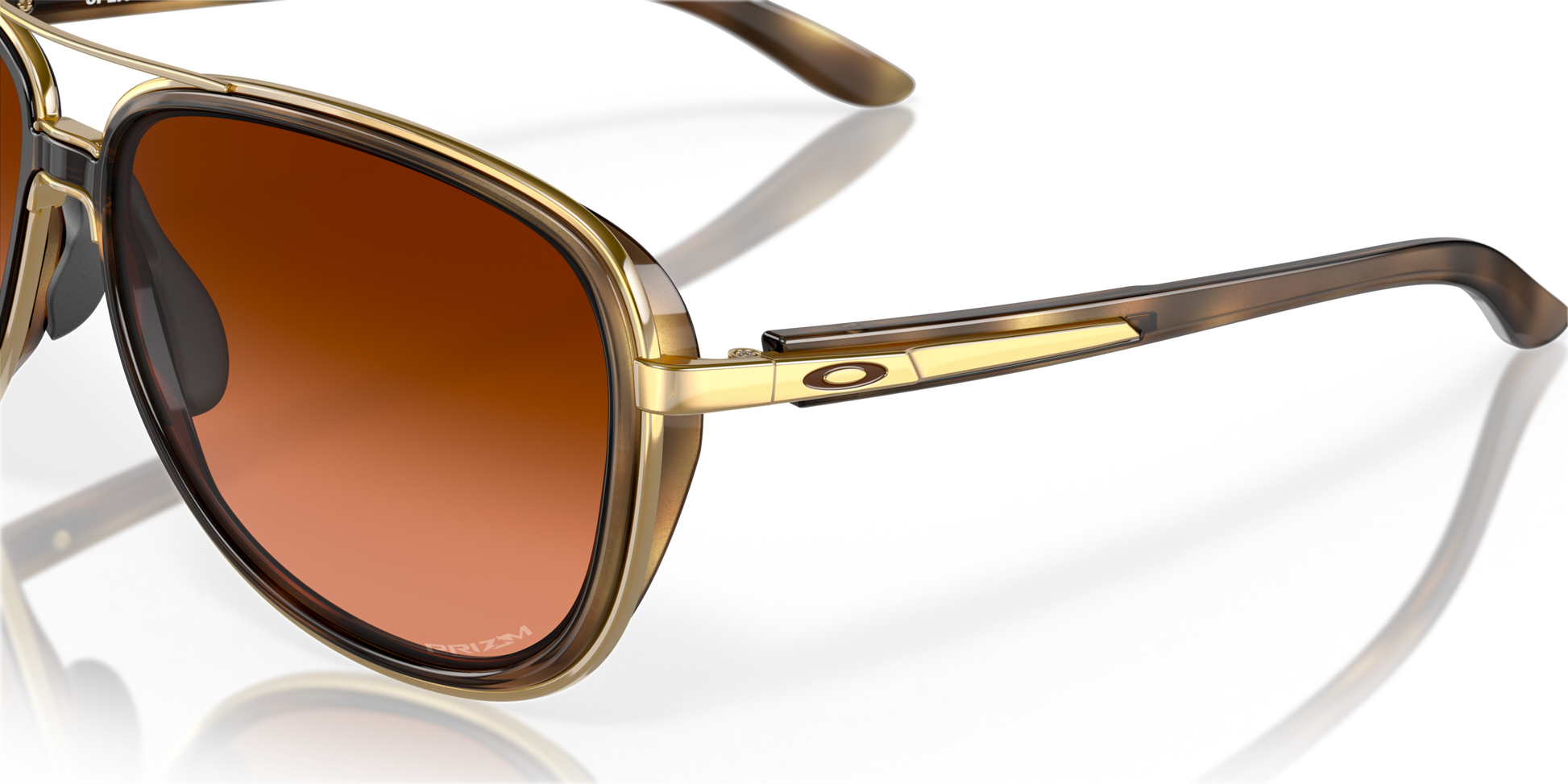 [Prizm Brown Gradient Lenses, Brown Tortoise Frame]
