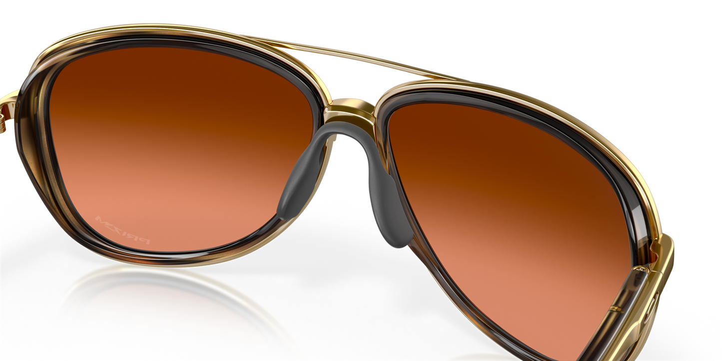 [Prizm Brown Gradient Lenses, Brown Tortoise Frame]