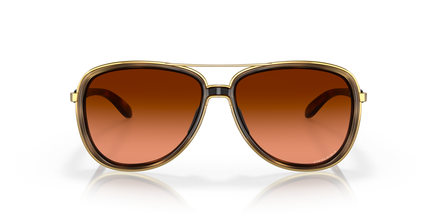 [Prizm Brown Gradient Lenses, Brown Tortoise Frame]