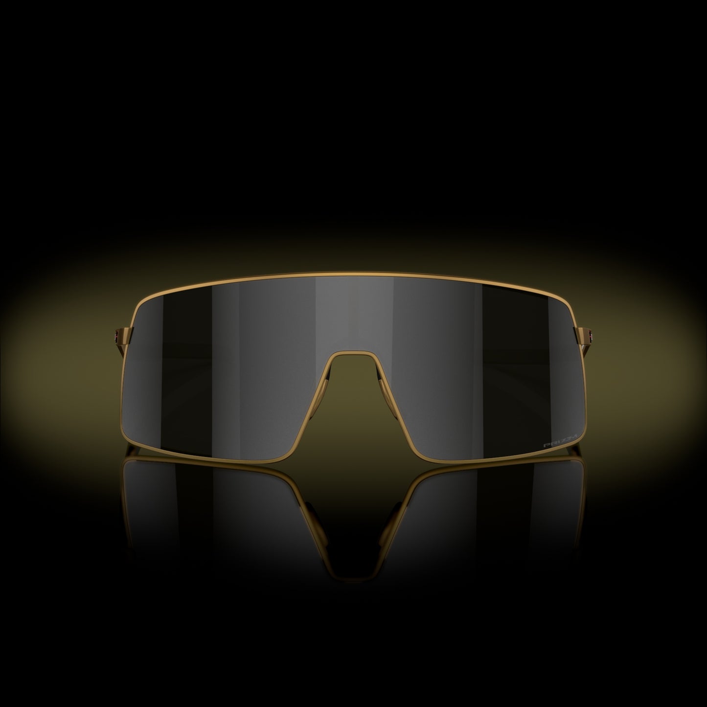 [Prizm Black Lenses, Matte Gold Frame]