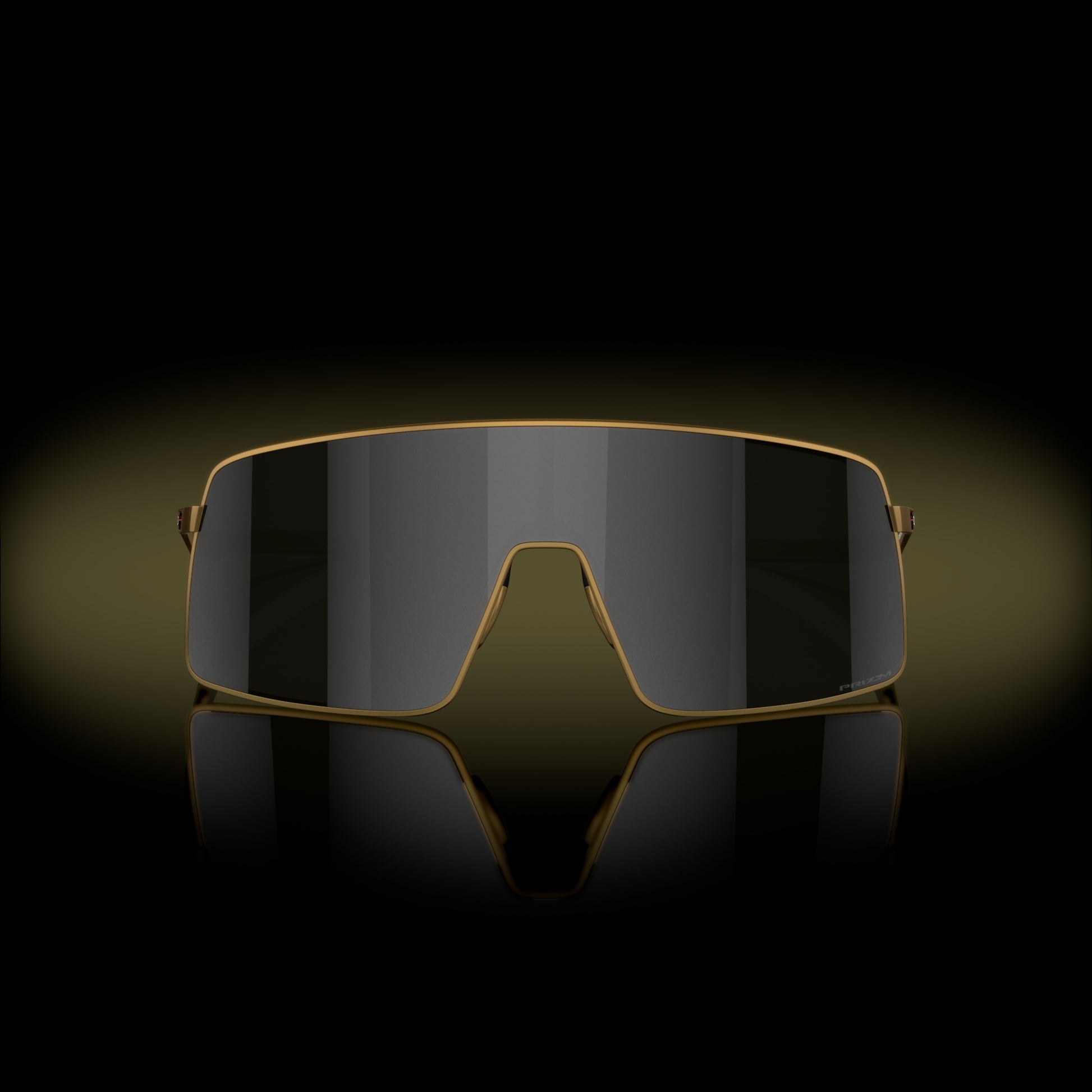 [Prizm Black Lenses, Matte Gold Frame]