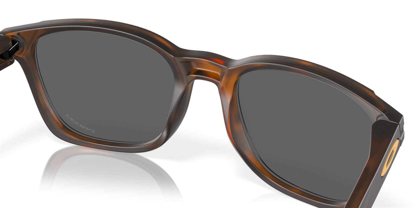 [Prizm Black Lenses, Matte Brown Tortoise Frame]