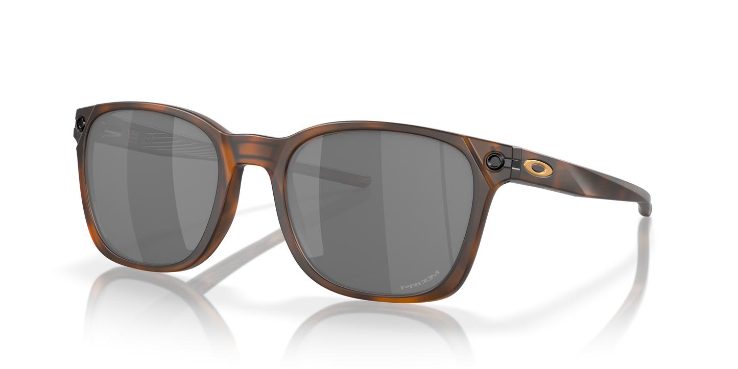 [Prizm Black Lenses, Matte Brown Tortoise Frame]