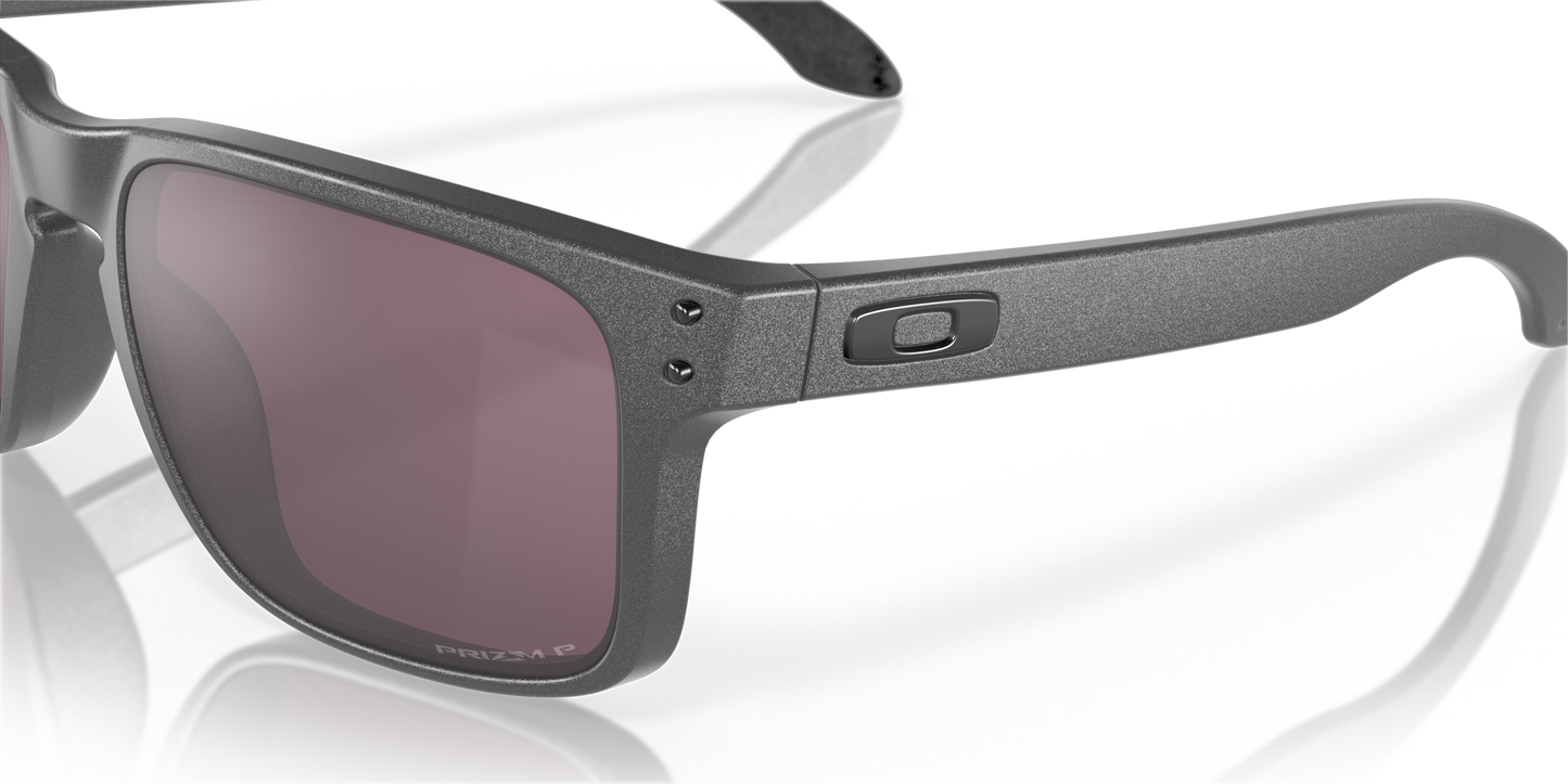 [Prizm Daily Polarized Lenses, Steel Frame]