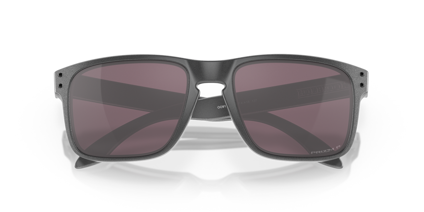[Prizm Daily Polarized Lenses, Steel Frame]