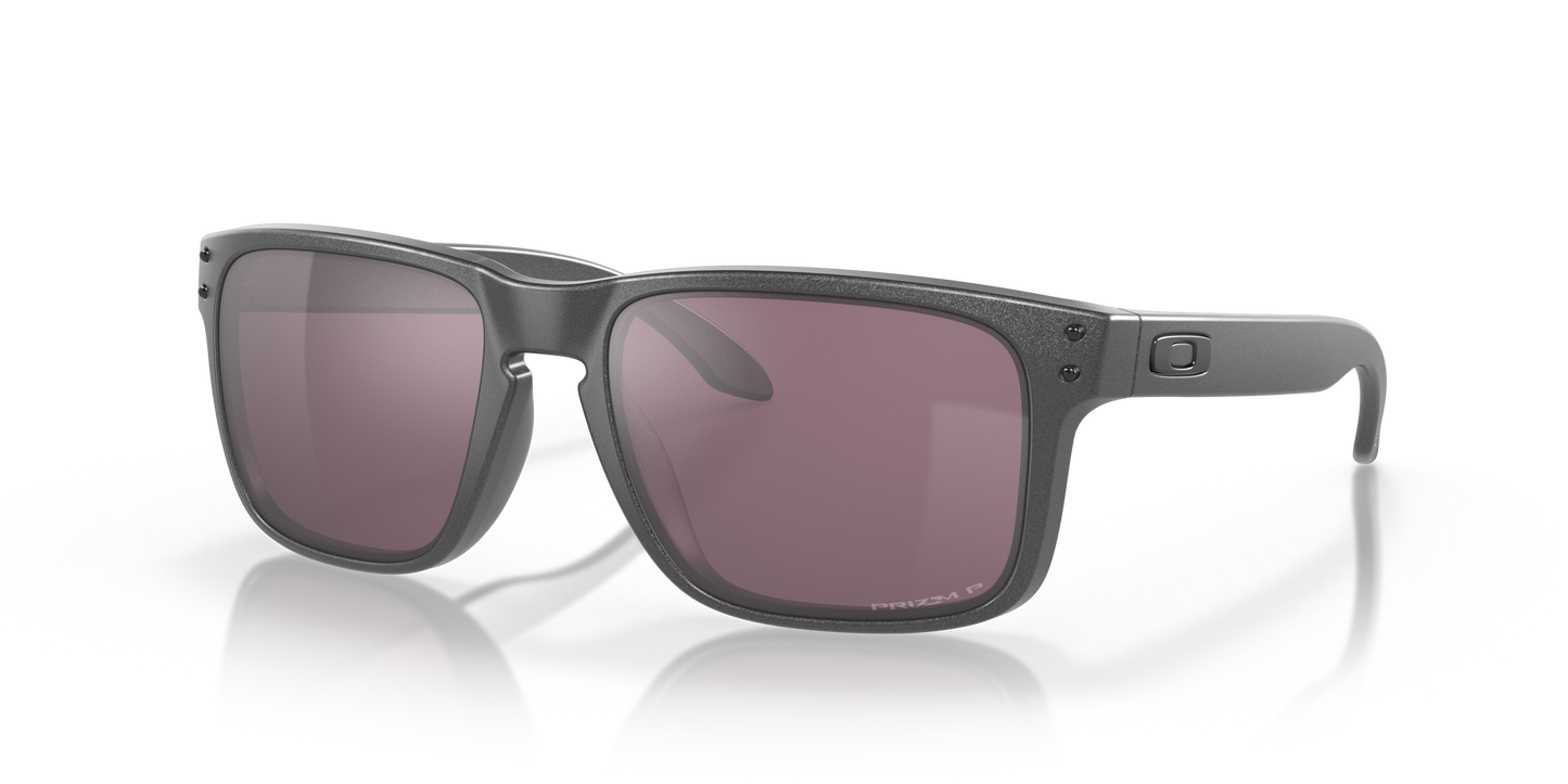 [Prizm Daily Polarized Lenses, Steel Frame]