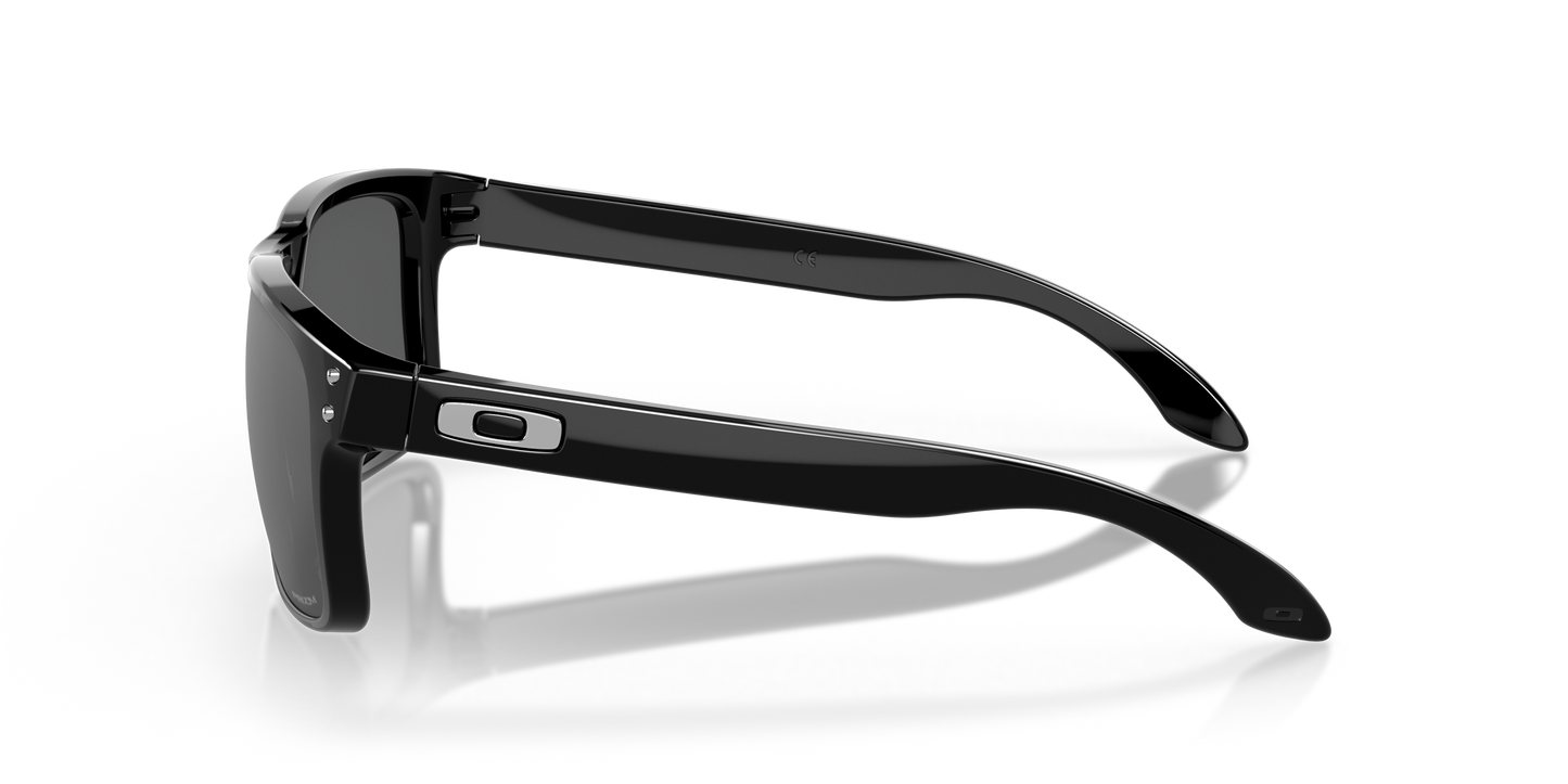 [Prizm Black Lenses, Polished Black Frame]