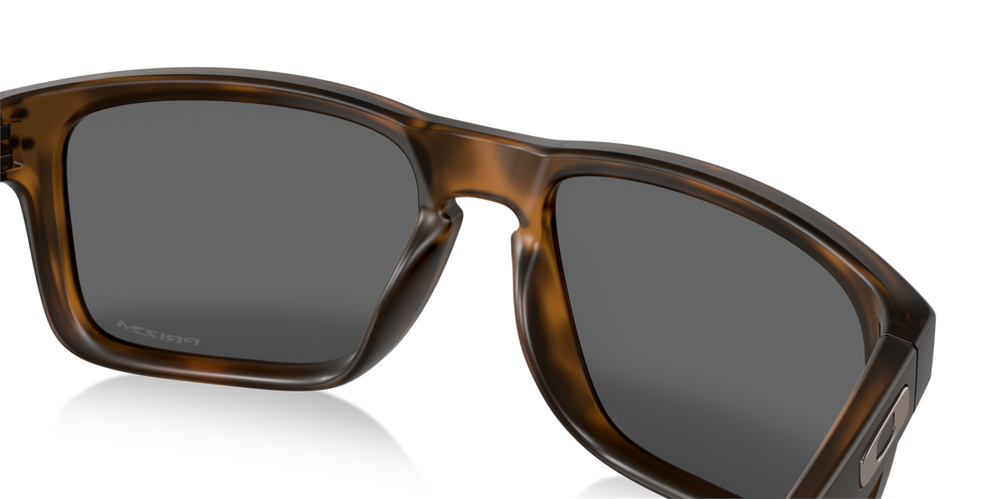 [Prizm Black Lenses, Matte Brown Tortoise Frame]