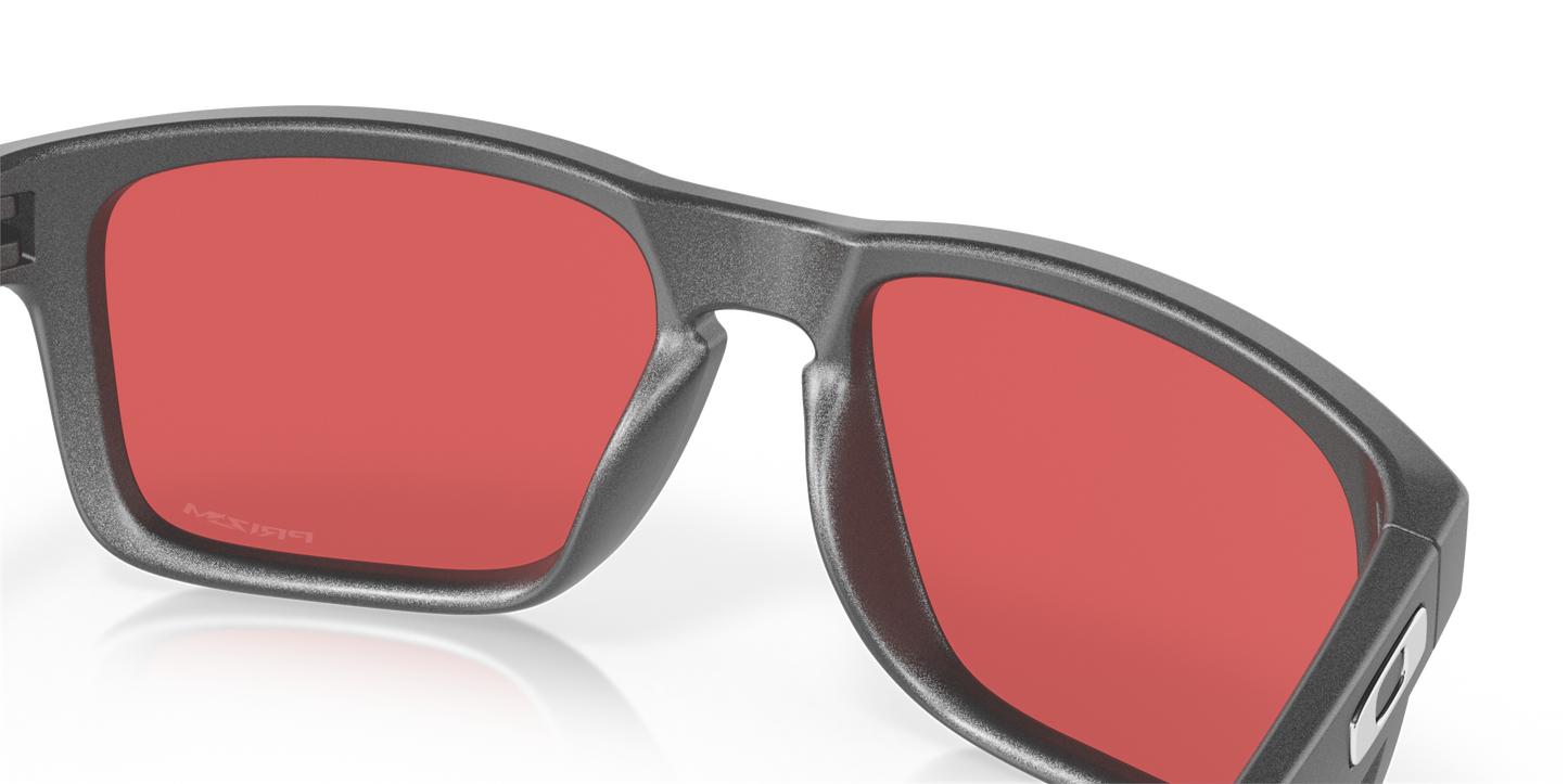 [Prizm Snow Sapphire Lenses, Steel Frame]