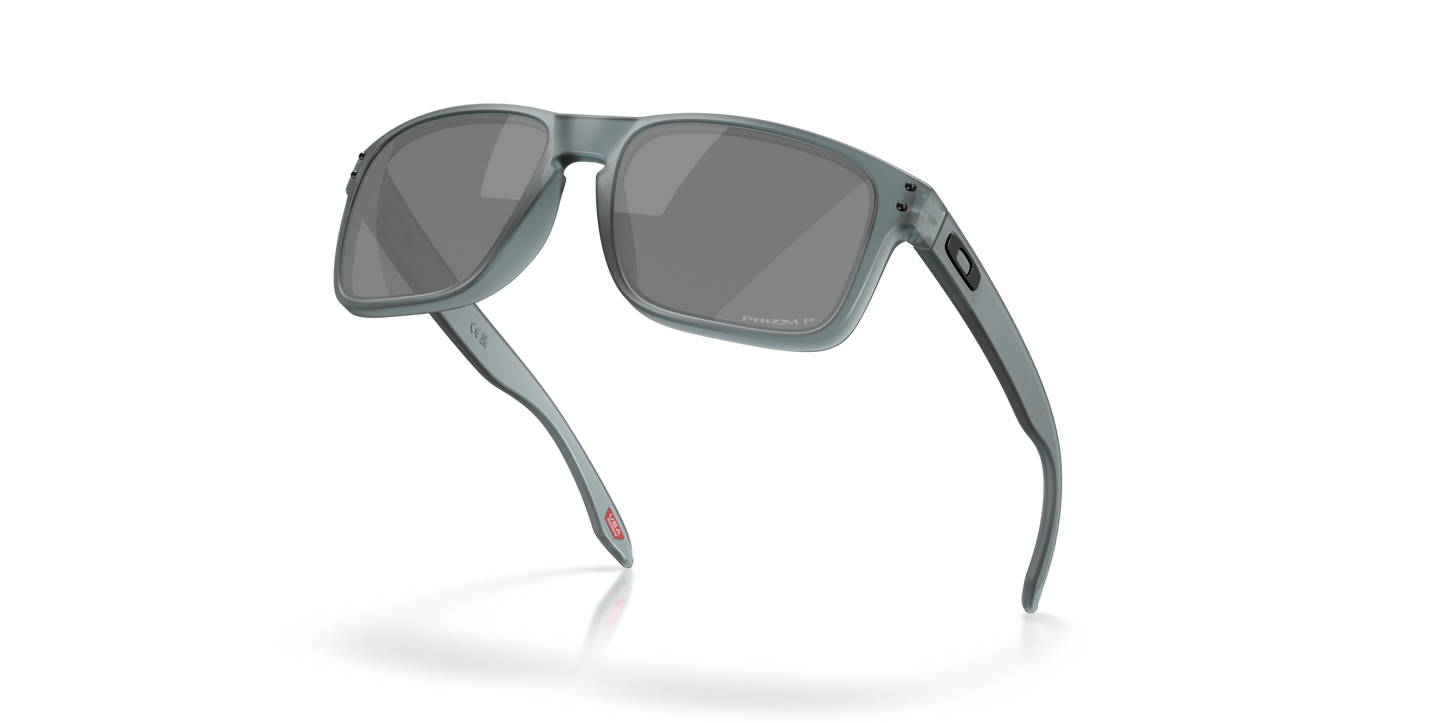 [Prizm Black Polarized Lenses, Matte Crystal Black Frame]