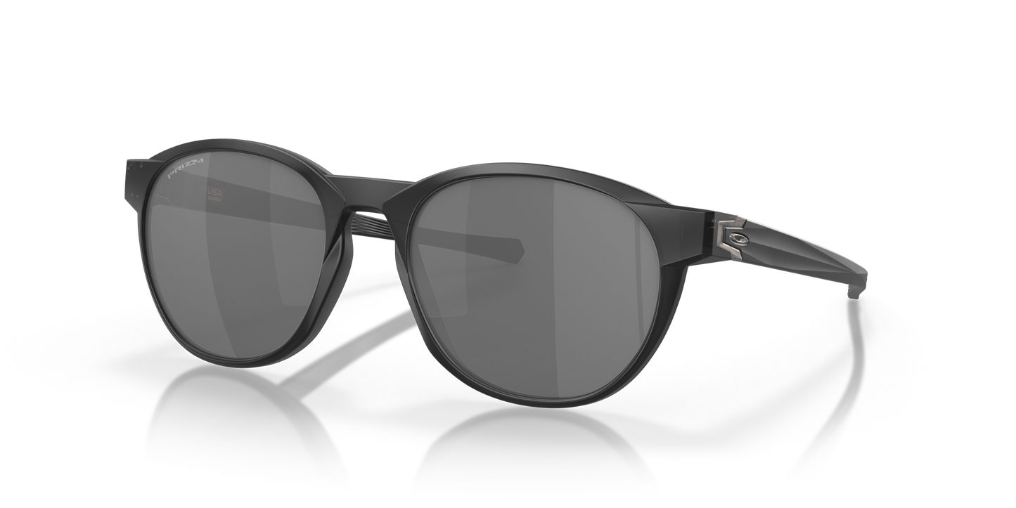[Prizm Black Lenses, Matte Black Ink Frame]