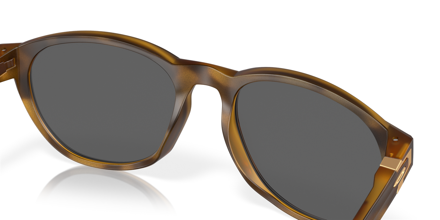[Prizm Black Lenses, Matte Brown Tortoise Frame]