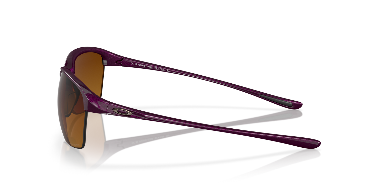 [Brown Gradient Polarized Lenses, Raspberry Spritzer Frame]