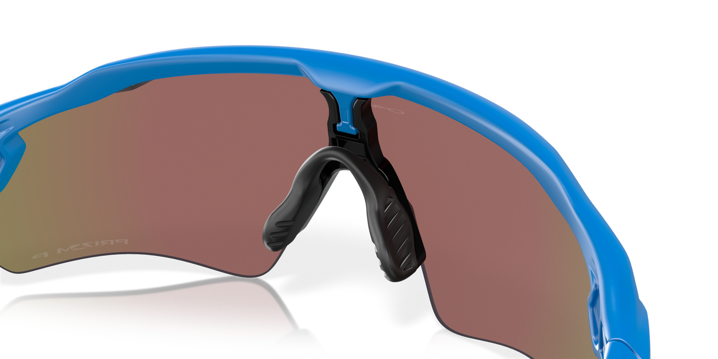 [Prizm Sapphire Polarized Lenses, Matte Sapphire Frame]