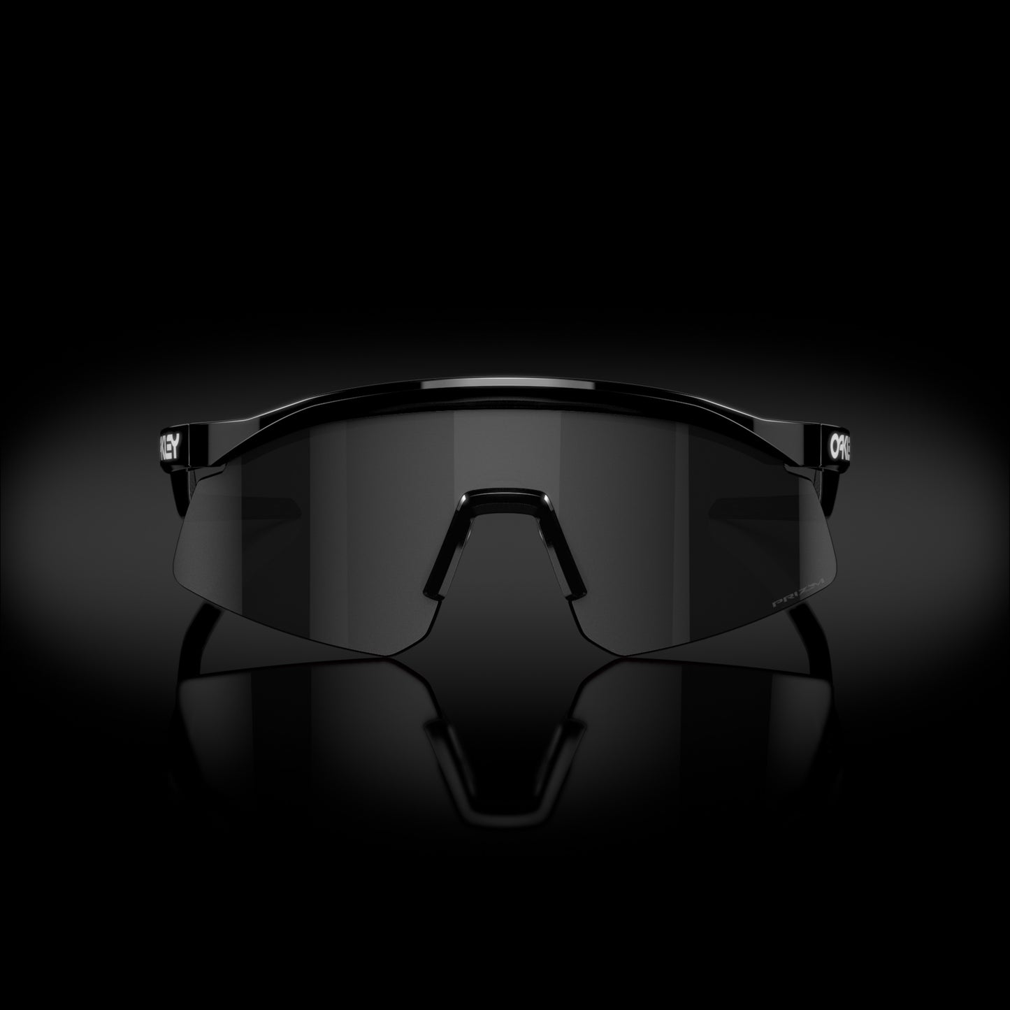 [Prizm Black Lenses, Black Ink Frame]