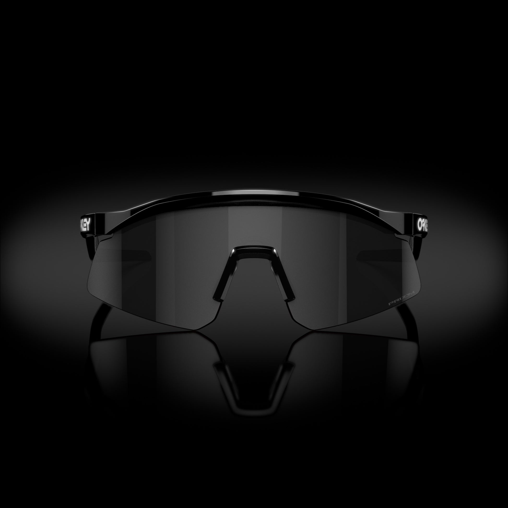 [Prizm Black Lenses, Black Ink Frame]
