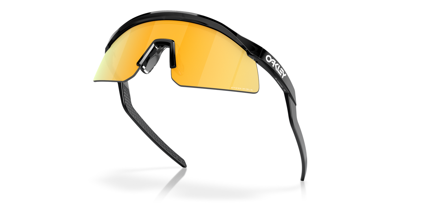 [Prizm 24K Lenses, Black Ink Frame]