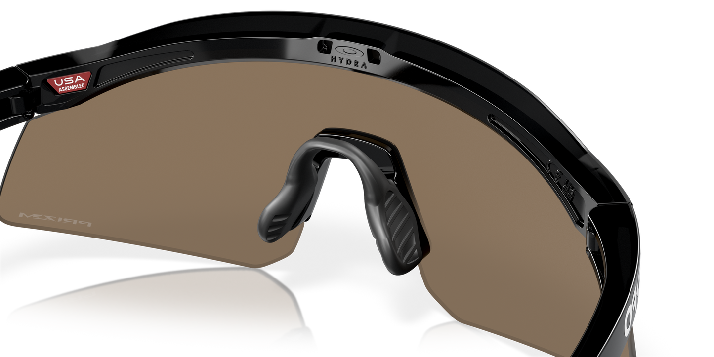 [Prizm 24K Lenses, Black Ink Frame]
