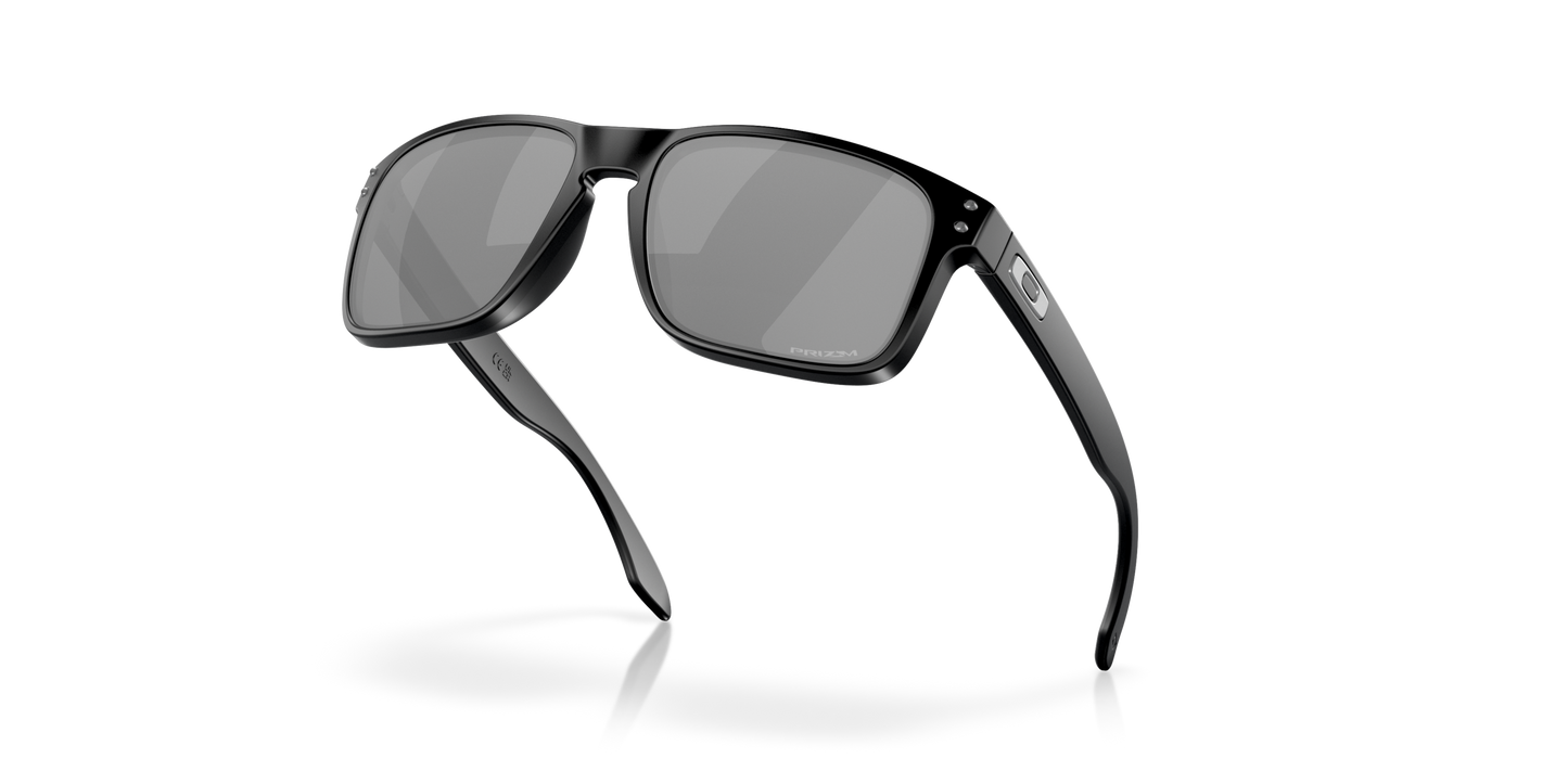 [Prizm Black Lenses, Matte Black Frame]