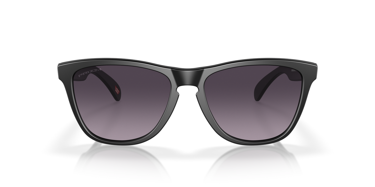[Prizm Grey Gradient Lenses, Matte Black Frame]
