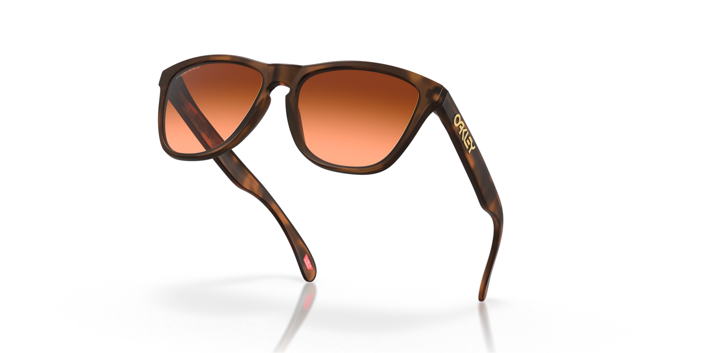 [Prizm Brown Gradient Lenses, Matte Brown Tortoise Frame]
