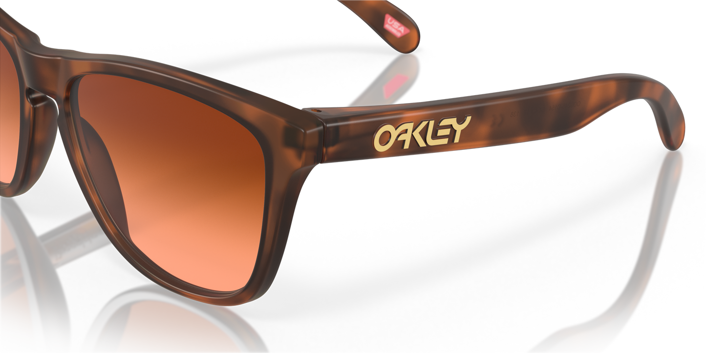 [Prizm Brown Gradient Lenses, Matte Brown Tortoise Frame]
