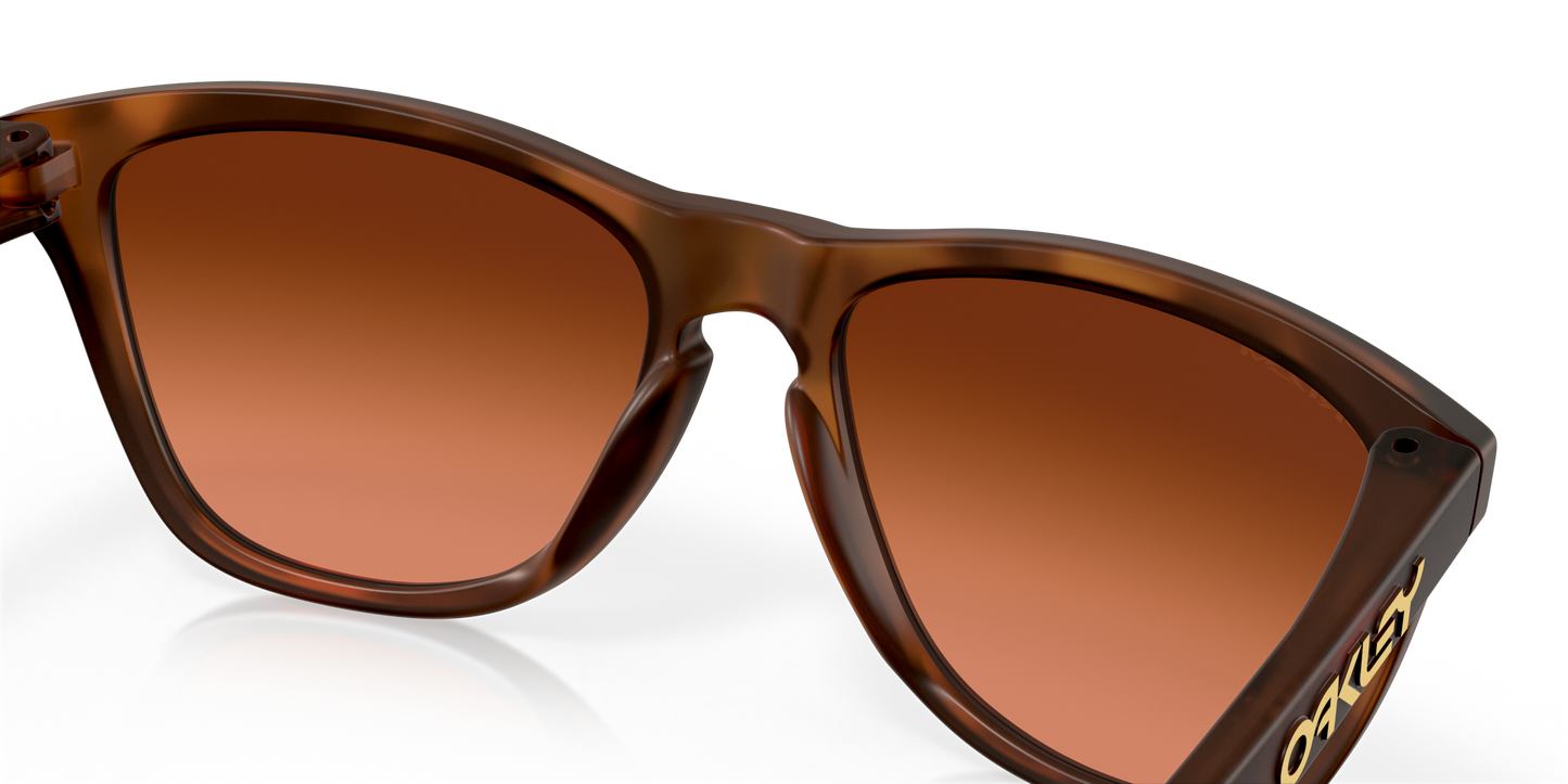 [Prizm Brown Gradient Lenses, Matte Brown Tortoise Frame]