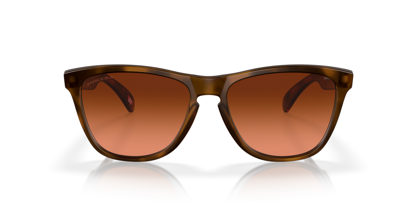 [Prizm Brown Gradient Lenses, Matte Brown Tortoise Frame]
