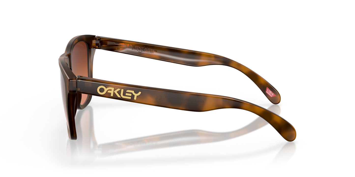 [Prizm Brown Gradient Lenses, Matte Brown Tortoise Frame]