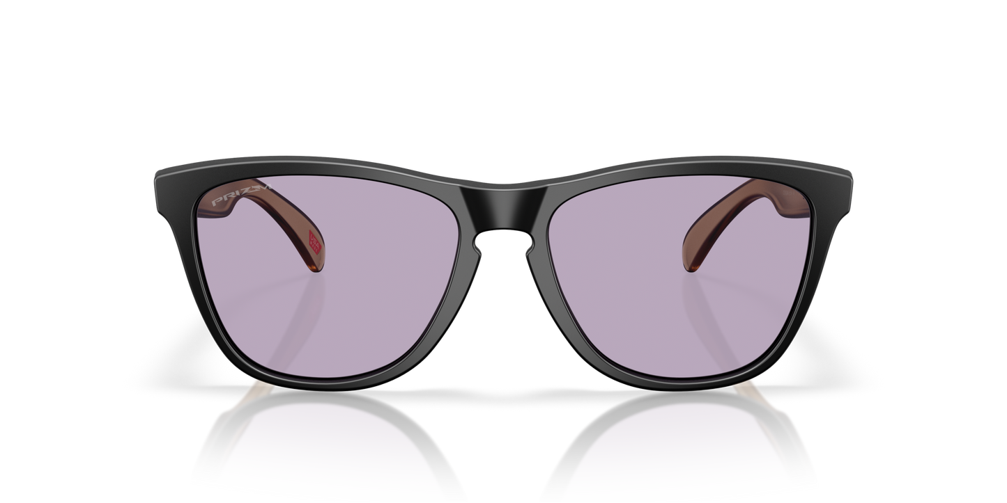 [Prizm Slate Lenses, Matte Black Frame]