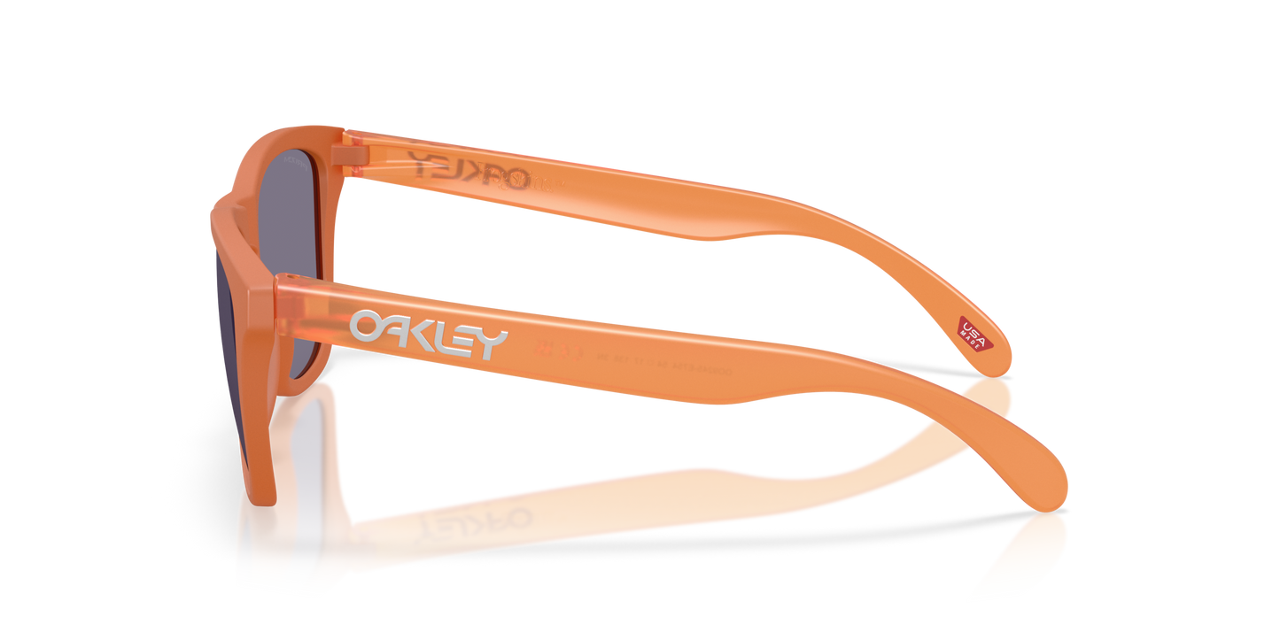 [Prizm Grey Lenses, Matte Ginger Frame]