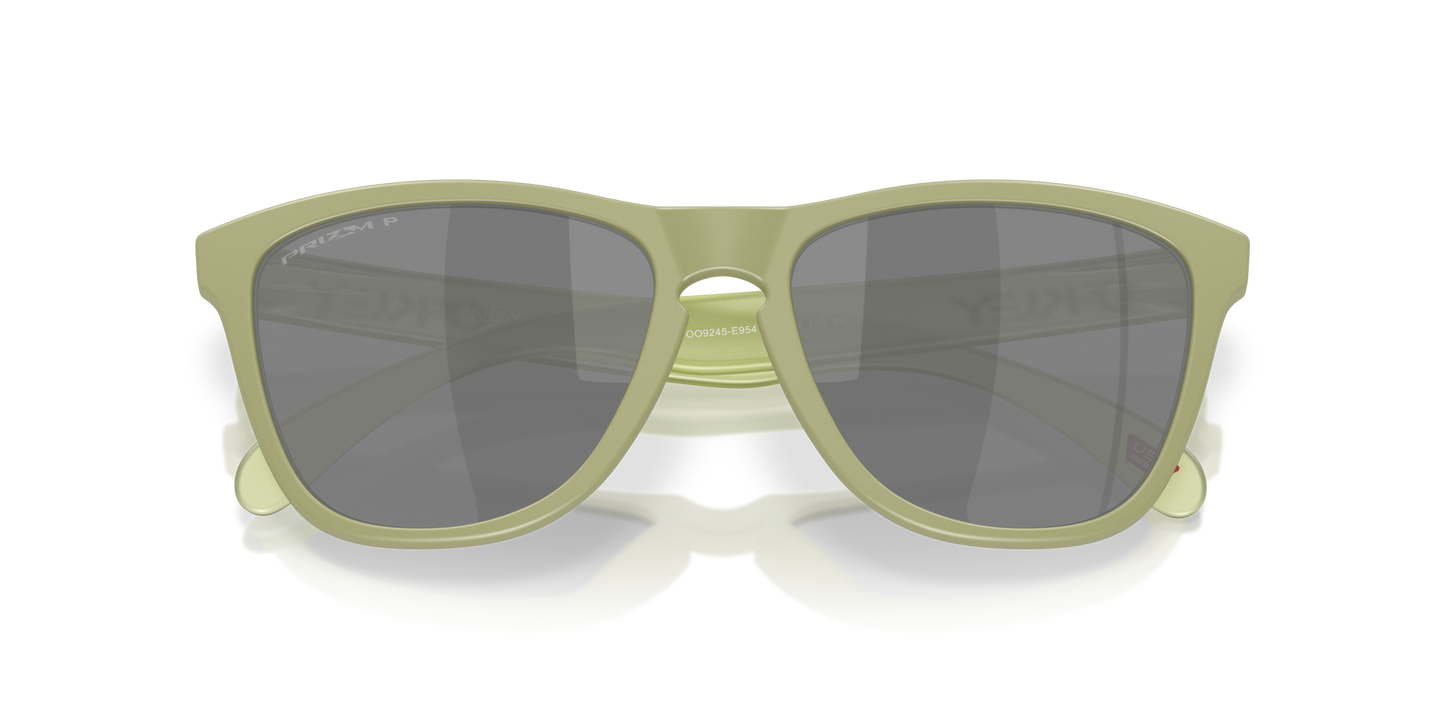 [Prizm Black Polarized Lenses, Matte Fern Frame]