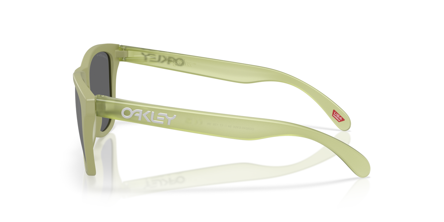 [Prizm Black Polarized Lenses, Matte Fern Frame]