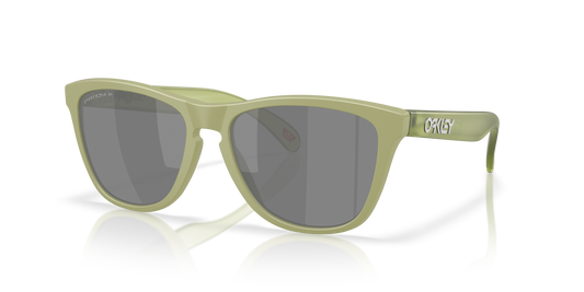 [Prizm Black Polarized Lenses, Matte Fern Frame]