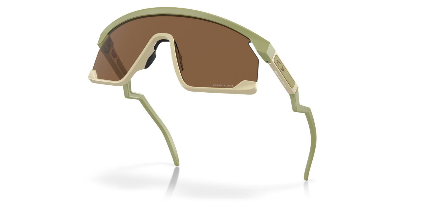 [Prizm Bronze Lenses, Matte Fern Frame]